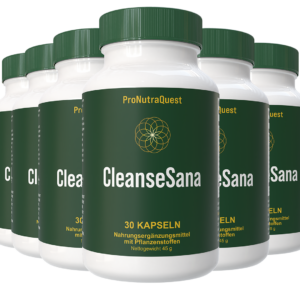 CleanSana