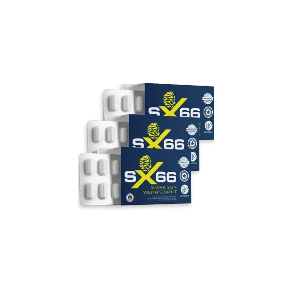 SX 66